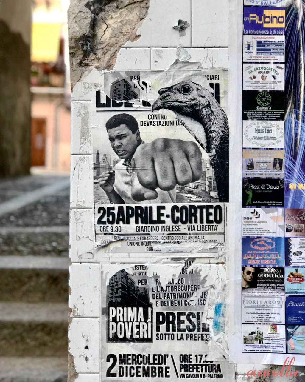 muhammed ali mercat del capo palermo muhammed ali mercat del capo palermo