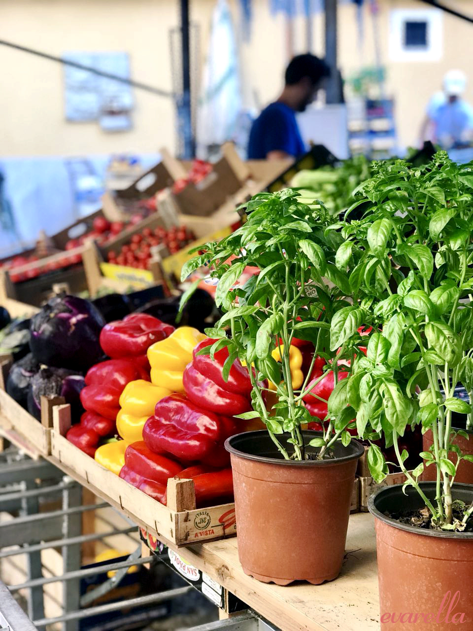 paprika basilikum mercato del capo palermo paprika basilikum mercato del capo palermo