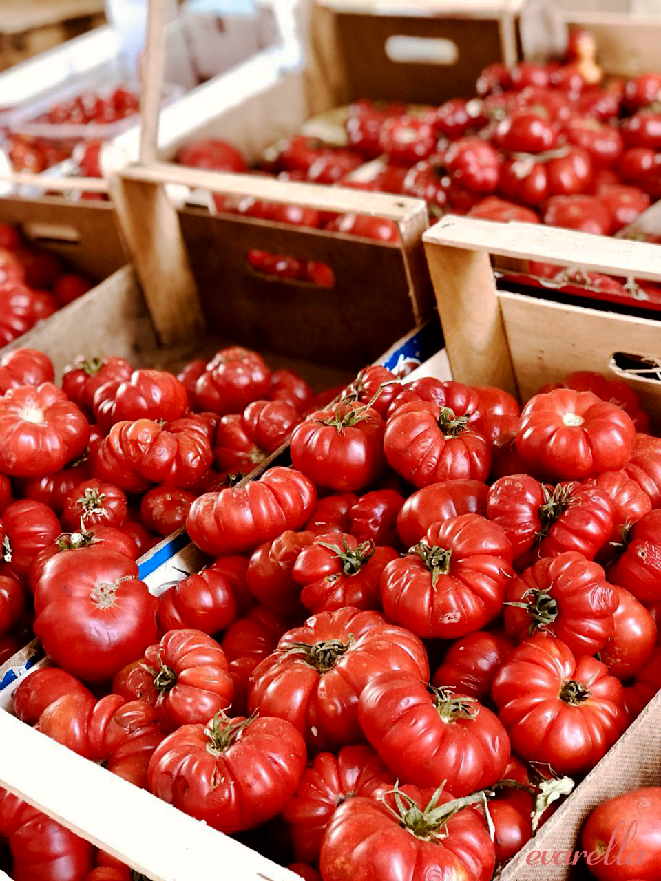 rote tomaten in kiste mercato del capo palermo rote tomaten in kiste mercato del capo palermo