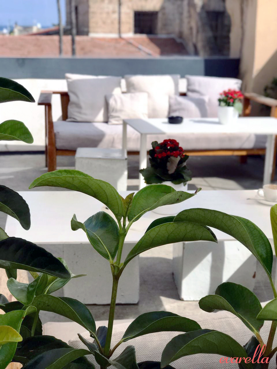 larinascente palermo dachterrasse 2 Loungebereich mit Holzsofas auf der Dachterrasse -–La Rinascente Palermo