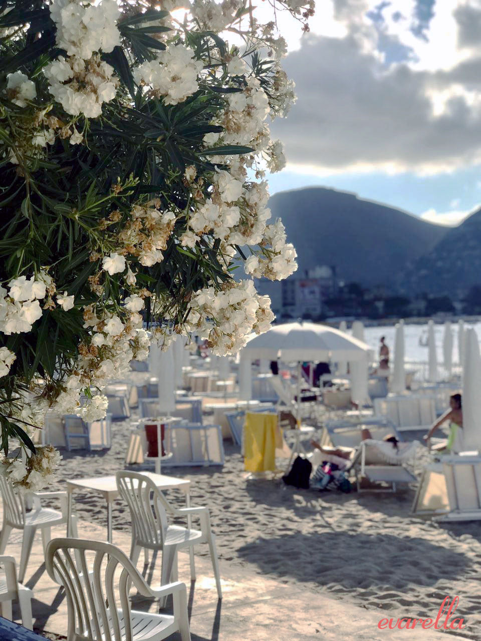 mondello_strand_palermo_sizilien_oleander mondello_strand_palermo_sizilien_oleander